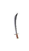Sword of Assassin