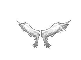 Wings of Heaven