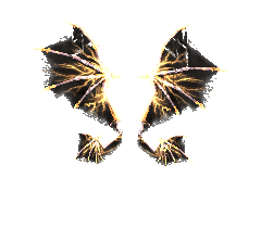 Wing of Storm