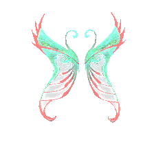 Wing of Illusion