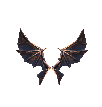 Wings of Dragon