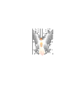 Guardian Angel
