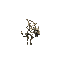 Pet Skeleton