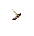 Horn of Uniria