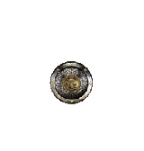 Big Round Shield