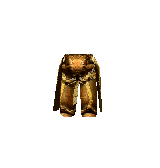 Bronze Pants